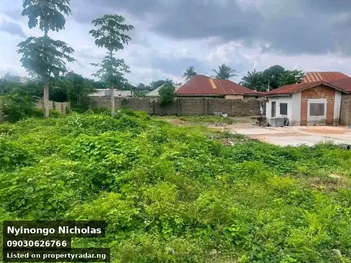 Land In High Level For Sale in Benue