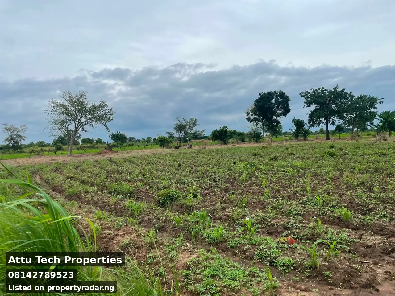 Land In Welfare Quarters Extension (Ucha) For Sale in Benue