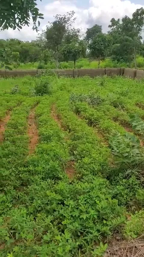 Land In Genabe For Sale in Benue